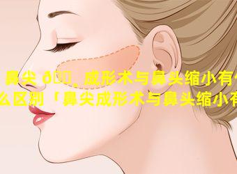 鼻尖 🕸 成形术与鼻头缩小有什么区别「鼻尖成形术与鼻头缩小有什么区别呢」